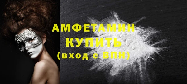 гашик Вяземский