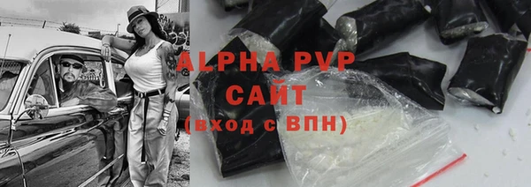 гашик Вяземский