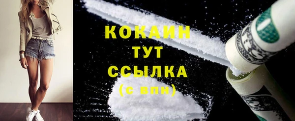 гашик Вяземский