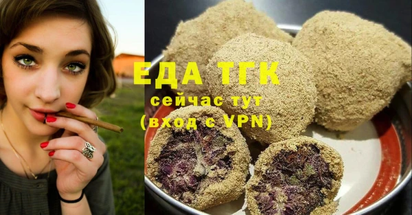 гашик Вяземский