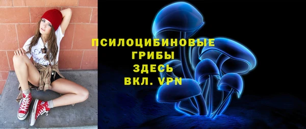 бошки Вязьма
