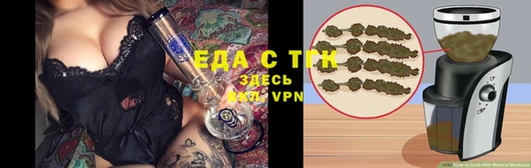 гашик Вяземский