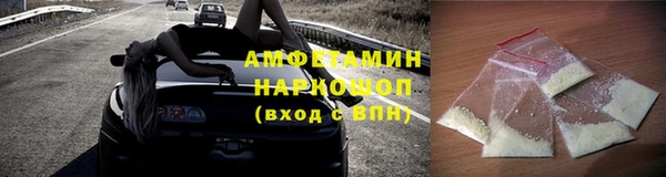 гашик Вяземский