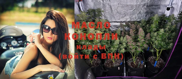 гашик Вяземский