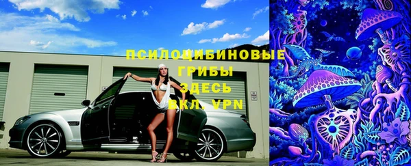 гашик Вяземский
