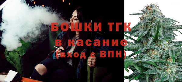 гашик Вяземский