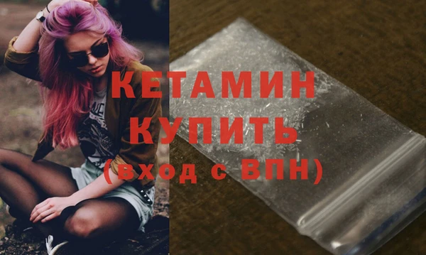 гашик Вяземский