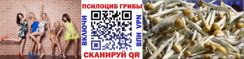 Галлюциногенные грибы Magic Shrooms  Купить  Арамиль 